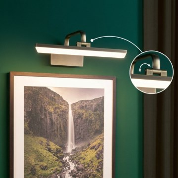 Paulmann 95569 - LED/9,5W Bildleuchte RENAN 230V 40 cm Messing