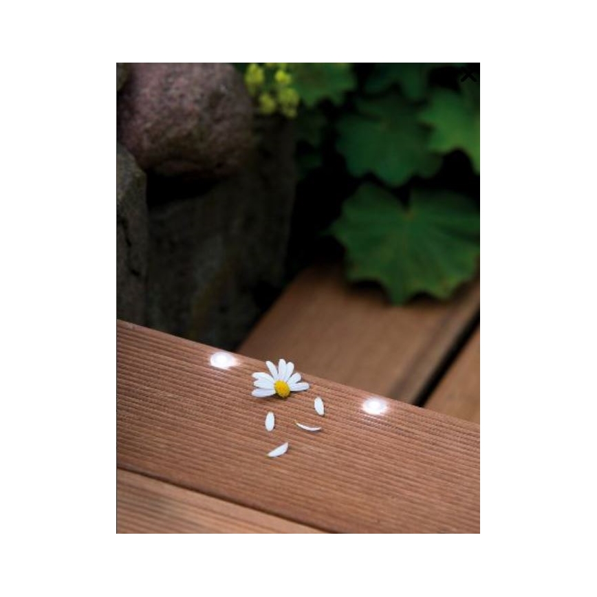 Paulmann 98891 - SET 5X LED/0,16W IP67 Außeneinbauleuchte MICRO 230V