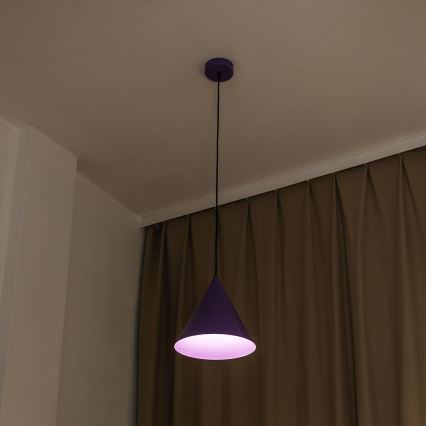 Pendelleuchte ETNA II mit Kabelaufhängung, 1x E27/15W/230V, Ø 25 cm, violett