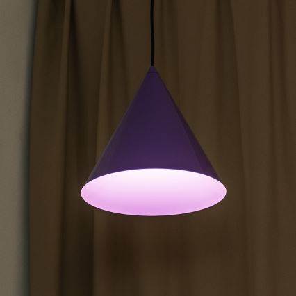 Pendelleuchte ETNA II mit Kabelaufhängung, 1x E27/15W/230V, Ø 25 cm, violett