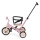 PETITE&MARS - 5-in-1 Kinder-Dreirad TURBO LIMITED Rosy Wilderness