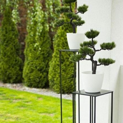 Pflanzenständer 100x24 cm schwarz