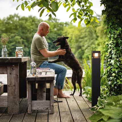 Philips 16482/30/P0 - LED Außenleuchte MYGARDEN PARTERRE LED/8W