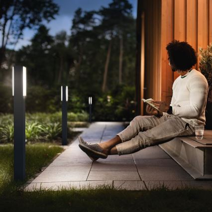 Philips 16489/93/P3 - Außenleuchte MYGARDEN STRATOSPHERE 2xLED/4,5W