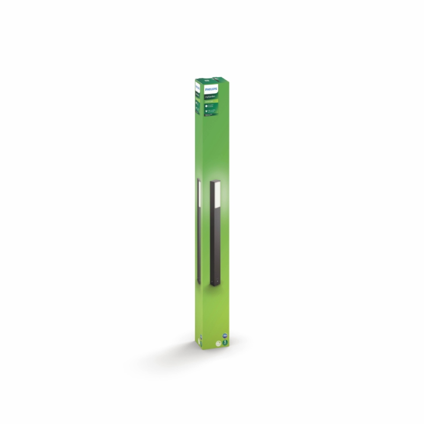 Philips - Außenleuchte 2xLED/4,5W
