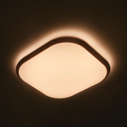 Philips 32810/31/P0 - LED dimmbare Deckenbeleuchtung CANAVAL LED/18W/230V