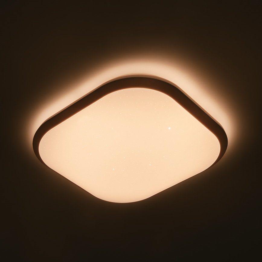 Philips 32810/31/P0 - LED dimmbare Deckenbeleuchtung CANAVAL LED/18W/230V