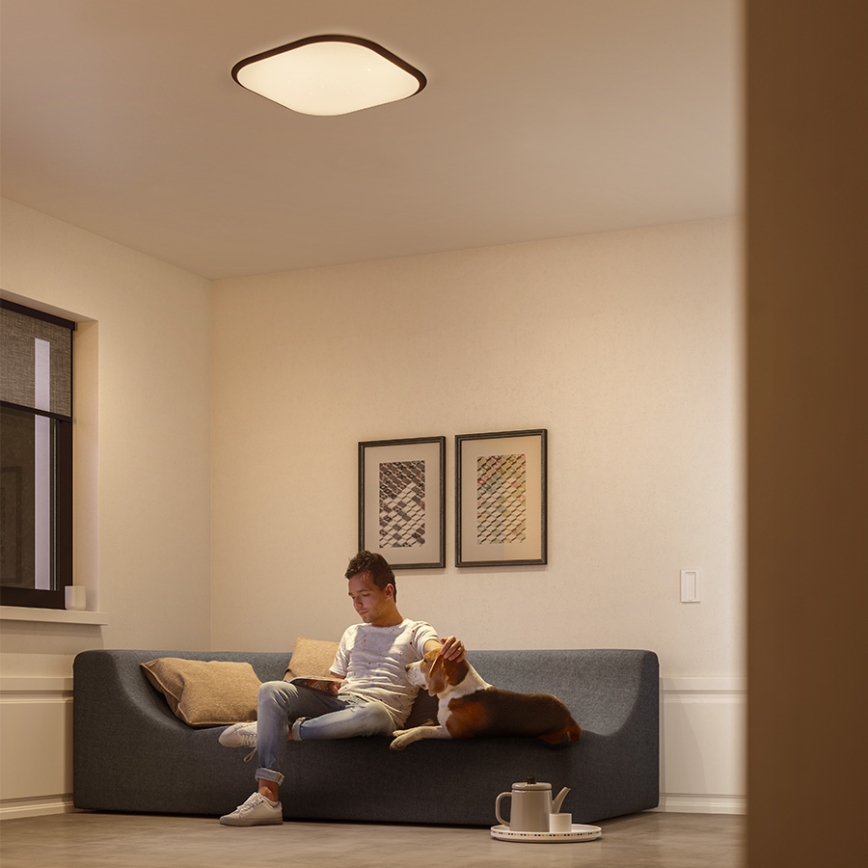 Philips 32810/31/P0 - LED dimmbare Deckenbeleuchtung CANAVAL LED/18W/230V