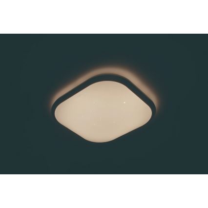 Philips 32810/31/P3 - LED dimmbare Deckenbeleuchtung CANAVAL LED/18W/230V