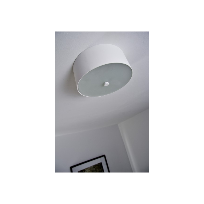Philips 40832/31/16 - LED Deckenleuchte MYLIVING SEQUENS 3xLED/2,5W/230V