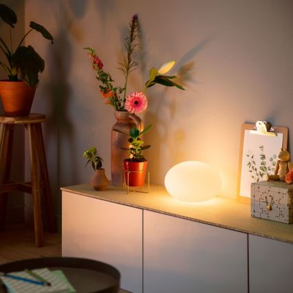 Philips 40904/31/P9 - LED Tischlampe HUE FLOURISH 1xE27/9,5W/230V