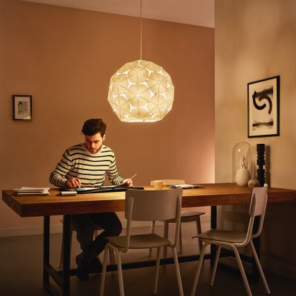 Philips 40914/21/PN - Deckenhängeleuchte MYLIVING CORKWOOD E27/60W/230V