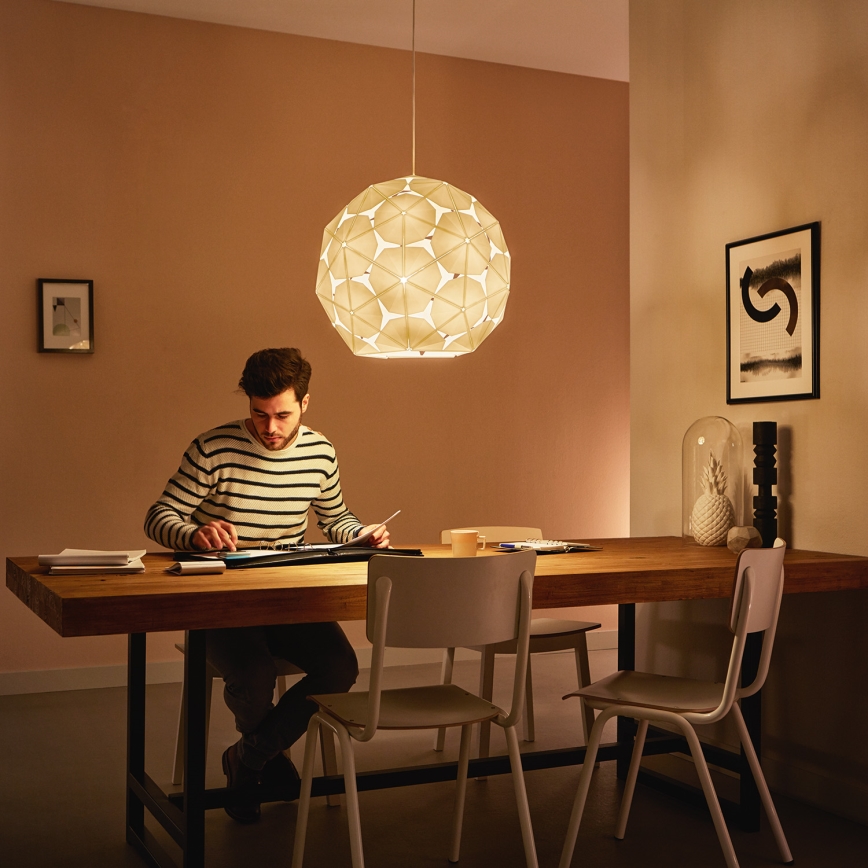 Philips 40914/21/PN - Deckenhängeleuchte MYLIVING CORKWOOD E27/60W/230V