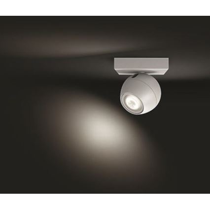 Philips - LED dimmbare Spot Hue BUCKRAM 1xGU10/5W/230V