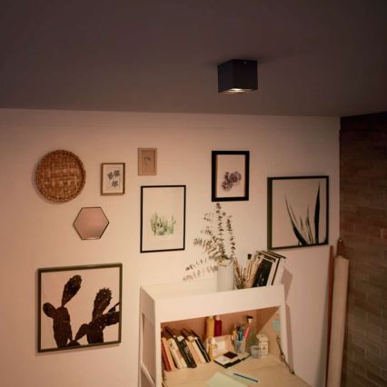 Philips 50491/30/P0 - LED Spotlight MYLIVING BOX 1xLED/4,5W/230V