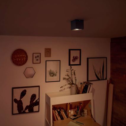 Philips 50491/30/P0 - LED Spotlight MYLIVING BOX 1xLED/4,5W/230V