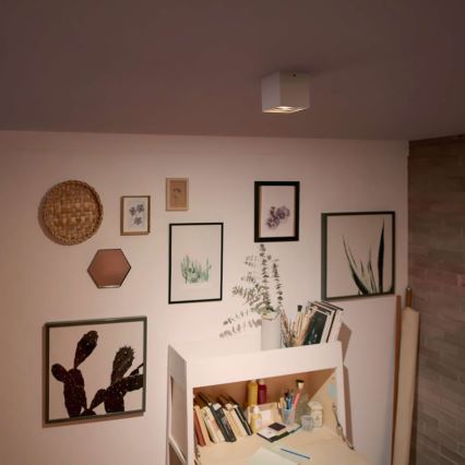 Philips 50491/31/P0 - LED Spotlight MYLIVING BOX 1xLED/4,5W/230V