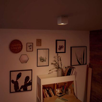 Philips 50491/31/P0 - LED Spotlight MYLIVING BOX 1xLED/4,5W/230V