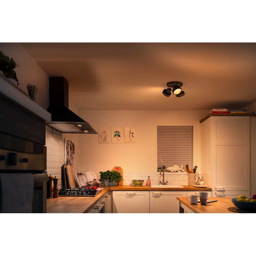Philips 50603/30/P0 - LED-Strahler dimmbar BUKKO 3xLED/4,3W/230V