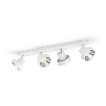 Philips 50604/31/P0 - LED Spotleuchte BUKKO 4xLED/4,3W/230V