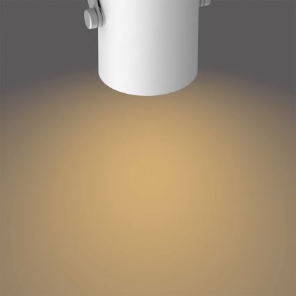 Philips - LED Einbauleuchte 2xLED/4,3W/230V 2200/2500/2700K