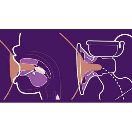 Philips Avent - Elektronische Muttermilchpumpe DUO 5V