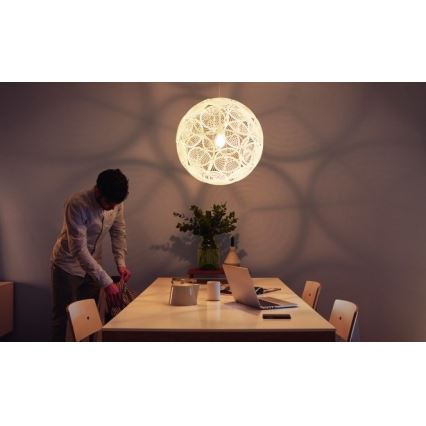 Philips  - Deckenhängeleuchte MYLIVING RING E27/60W/230V