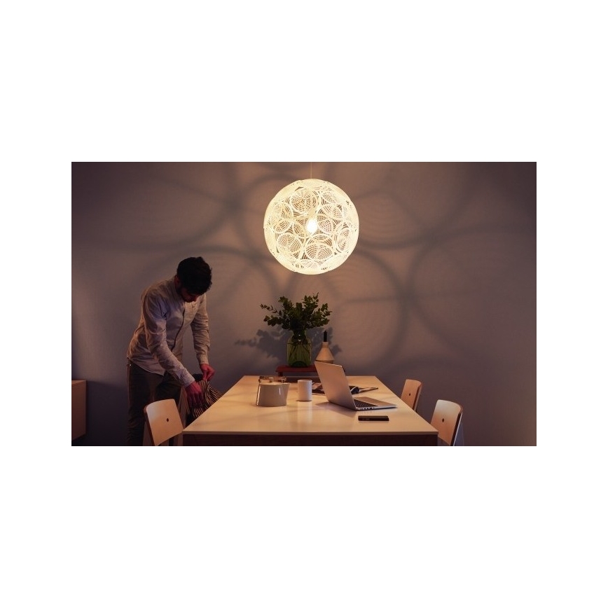 Philips  - Deckenhängeleuchte MYLIVING RING E27/60W/230V