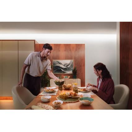 Philips - Dimmbarer RGBW-LED-Streifen Hue FLUX 10m LED/60W/230V 2200-6500K