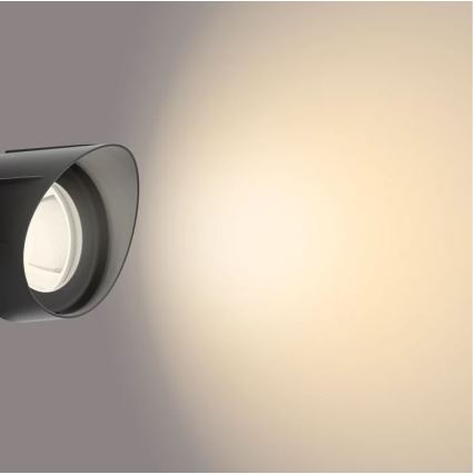 Philips - LED Außenstrahler LED/24W/230V 2700K IP44