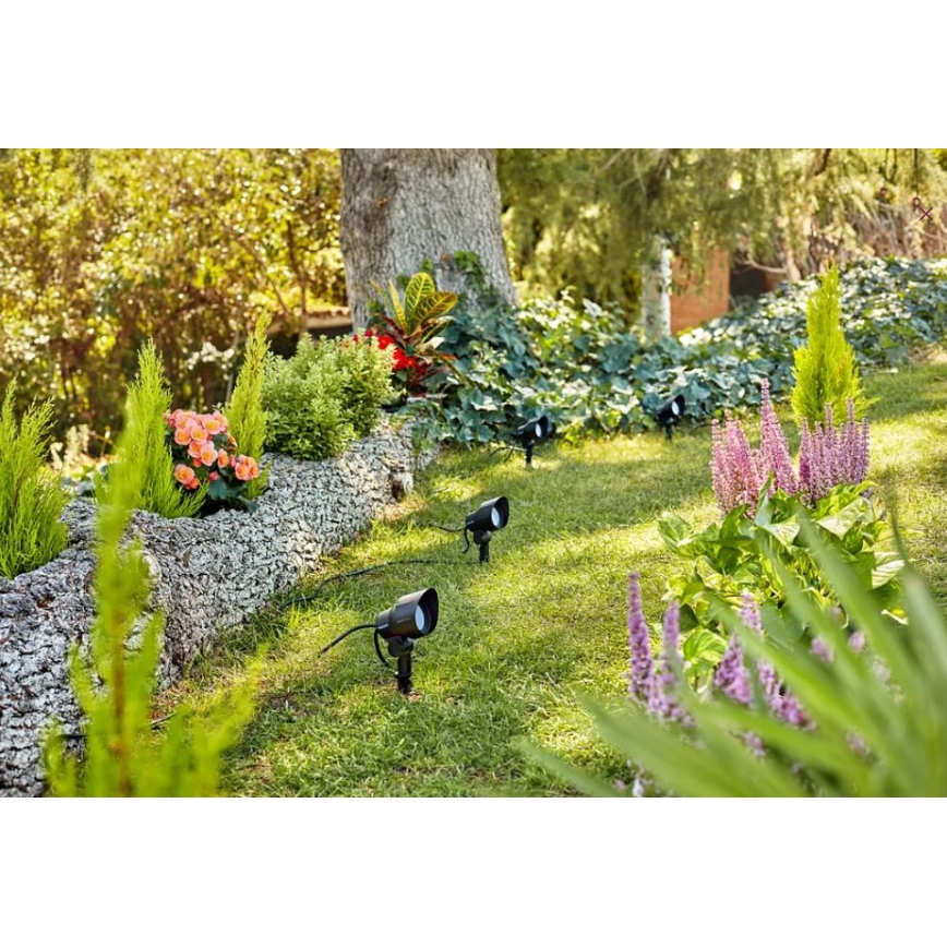 Philips - LED Außenstrahler LED/6W/12V 4000K IP44