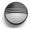 Philips - LED Außenwandleuchte LED/6W/230V IP44