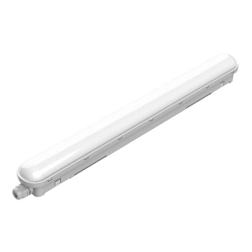 Philips - LED-Hochleistungsleuchte PROJECTLINE LED/18W/230V 58 cm IP65