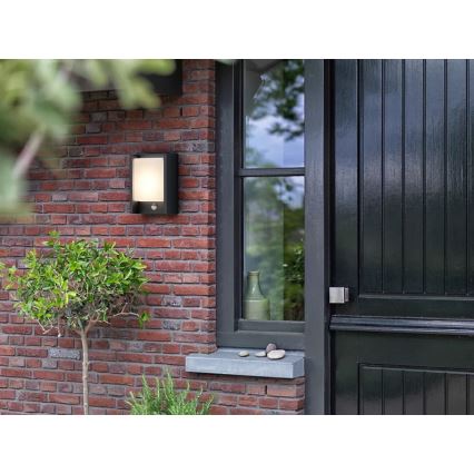 Philips - LED-Outdoor-Wandleuchte mit Sensor ARBOUR LED/3,8W/230V IP44