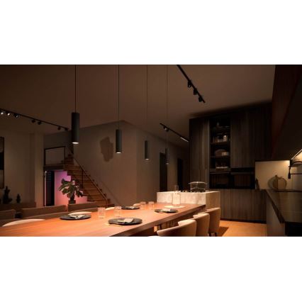 Philips - PERIFO LED RGB dimmbare Pendelleuchte mit Hängekabel für das Hue-Schienensystem LED RGB/5,2W/24V 2000-6500K