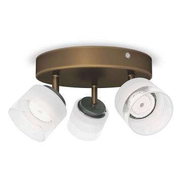 Philips - LED-Spotleuchte 3xLED/4W/230V
