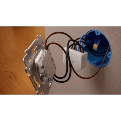 Philips - Modul für den Hue 2‑Tasten-Wandschalter