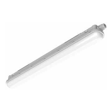 Philips Pila - Technische LED-Röhrenleuchte LED/60W/230V 150 cm IP65
