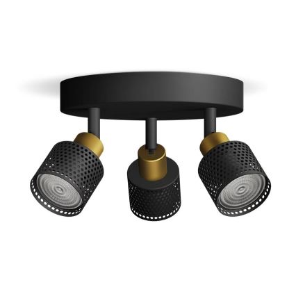 Philips - Strahler NIALL 3xGU10/5W/230V schwarz/Messing
