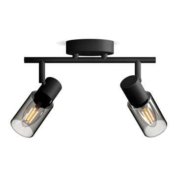 Philips - Strahler PALMS 2xE14/25W/230V