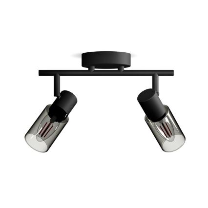 Philips - Strahler PALMS 2xE14/25W/230V