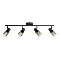 Philips - Strahler PALMS 4xE14/25W/230V