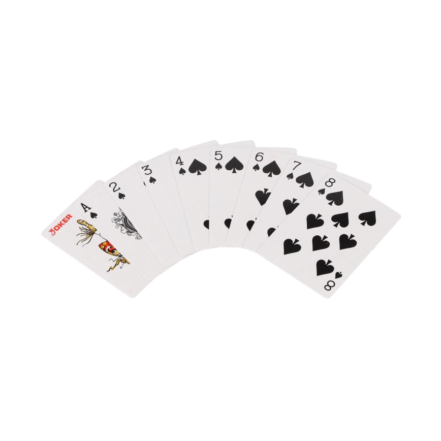 Poker-Set im Koffer, 100-teilig