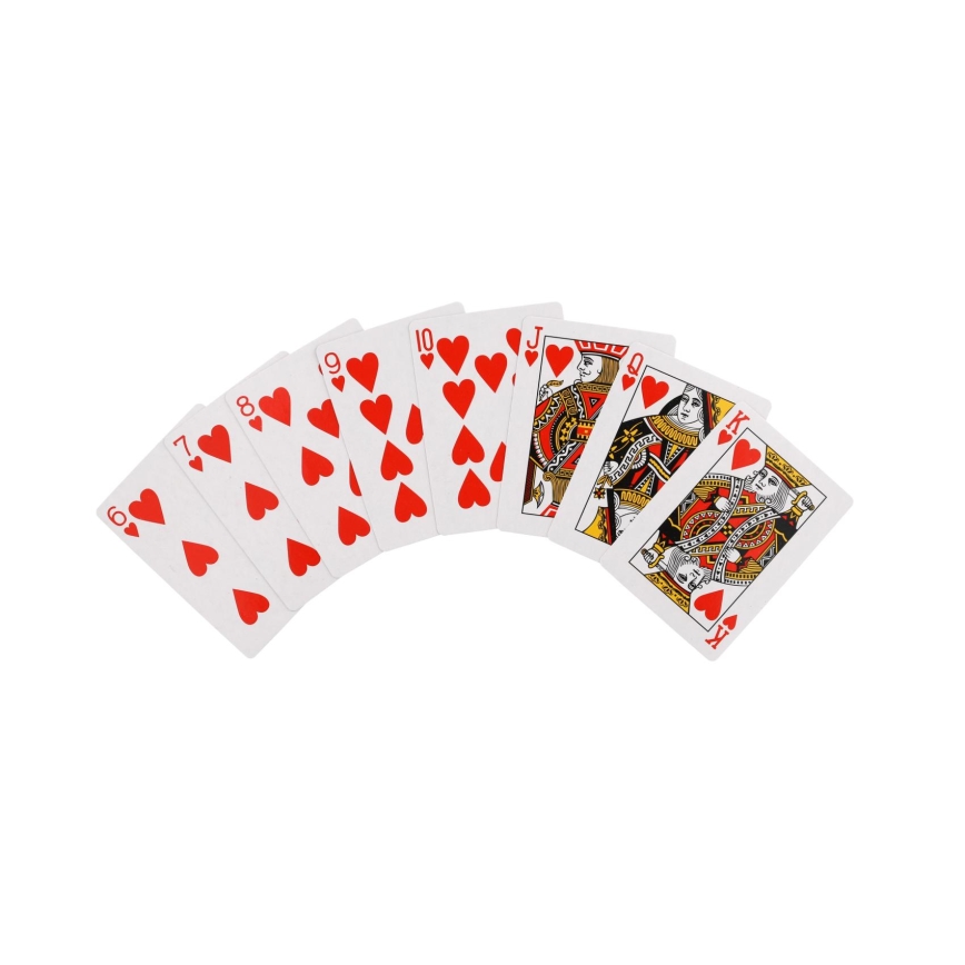 Poker-Set im Koffer, 100-teilig