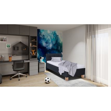 Polsterbett mit Stauraum ohne Matratze MARIA ONE 90x200 cm anthrazit