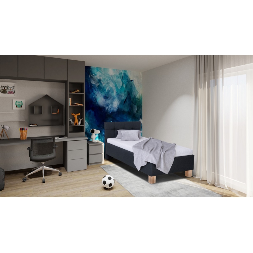 Polsterbett mit Stauraum ohne Matratze MARIA ONE 90x200 cm anthrazit