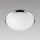Prezent 1518 - Ersatzglas für Deckenleuchte LUNA E27