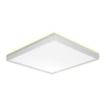 Prezent 27309 - LED-Deckenleuchte für Badezimmer CORDIA SQ LED/24W/230V 3000/6000K IP54 weiß