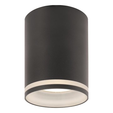 Prezent 71113 - Spotleuchte SAUL 1xGU10/50W/230V Ø 7 cm schwarz