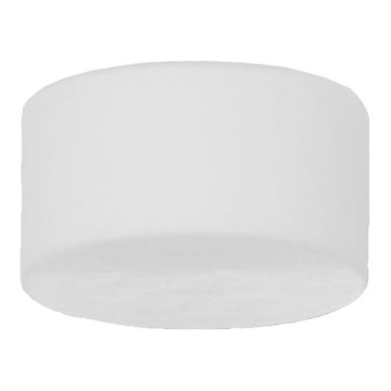 Prezent 981 - Ersatzglas für Wandleuchte EPICCA G9